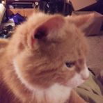 Ken Ashcraft - Facebook