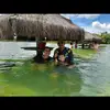 Felipefk - @felipekenault6 - TikTok