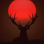 Ken Bacon - @kenbacon1 - Instagram
