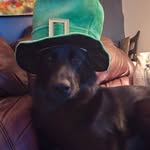 ken bacon - @ken81145 - Instagram