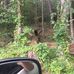 Kenn Bain - Facebook