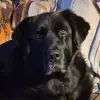 Ken Barnard - @ken.barnard4 - TikTok
