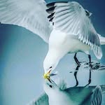 Bartholomew ken - @ken_bartholomew_ - Instagram