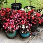 Ken Bentley - @bentley3076 - Instagram