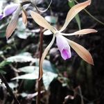 Ken Bernard Maaño - @ken_maano - Instagram