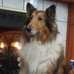 Ken Betts - @ken.betts.969 - Instagram