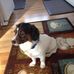 Ken Betts - Facebook