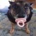 Kenneth Beverly - Facebook