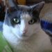 Kenneth Blumenthal - Facebook