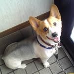 けんいち - @kenbodesu - Instagram