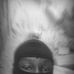 Ken Bdn - Facebook