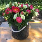 Renate - @renatewillkensboettcher - Instagram