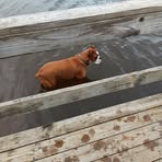 Ken Bowser - Facebook