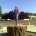Ken Brashear - Facebook