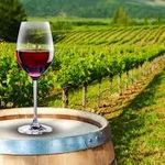 Ken Braswell - @bigwineoh - Instagram
