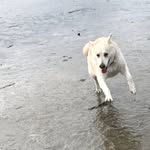 ken brubaker - @kenbrubaker_ - Instagram