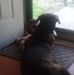 Ken Buckner - Facebook