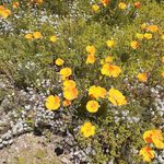Ken Burnett - @ken_burnett_62 - Instagram
