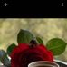 Ken Carlton - Facebook