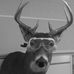 Ken Carlton - Facebook