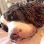 Ken Case - @ken.case - Instagram