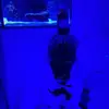 kencarSon - @kencason - TikTok