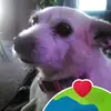 Ken Chambers - @ken.chambers - TikTok