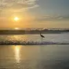Ken Chen - @kenchen304 - TikTok