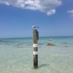 Ken Coffman - @kenslawncare73 - Instagram