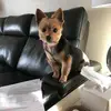 kencoffman667 - @kencoffman667 - TikTok