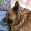 kencondon842 - @kencondon842 - TikTok