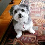 Ken Connors - @kenconnors - Instagram