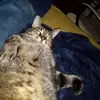 kenconn3 - @ken.conn.3 - TikTok