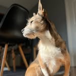 Ken Coogan - @kens_snapshots - Instagram