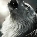 Ken Cotton - @ken.cotton.790 - Instagram