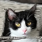 Ken Cramer - Facebook