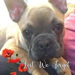 Ken Cross - @ken.cross.528 - Instagram