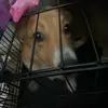 kenyacrowder - @kenyacrowder - TikTok