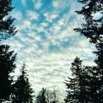 makenzie - @kenzie_custer - Instagram
