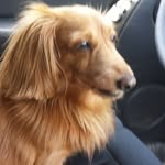 Ken Danielson - @kenyon1431 - Instagram