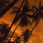 Ken_Decker - @ken_deckerf - Instagram