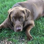 Ken Decker - @ken.decker.399 - Instagram