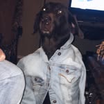 how do i delete this - @kenny_devito - Instagram