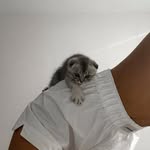 Kenzhebay Dilnaz - @kendillya - Instagram