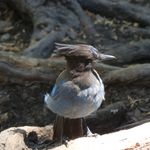 Ken Dillinger - @kendillinger77 - Instagram