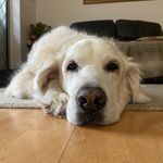 Ken Dobson - @kendobson01 - Instagram