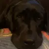 Kenny Dobson - @kenny.dobson - TikTok