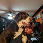 Ken Doherty - @kenddoherty - Instagram