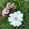 Kendall Doherty - @kendall.doherty - TikTok