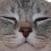 goofygoober6969 - @kennydonovan1 - TikTok